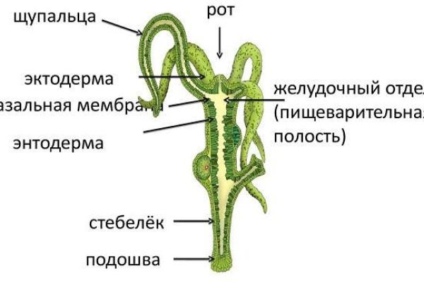 Omg omg ссылка на сайт рабочая