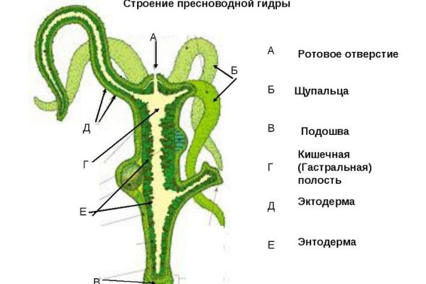 Кракен ссылка официальный чтоб зайти kraken6.at kraken7.at kraken8.at